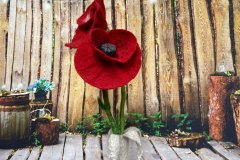 Nicht verblühende Blume, gefilzt