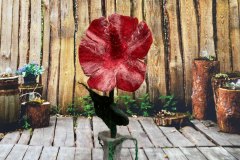 Nicht verblühende Blume, gefilzt