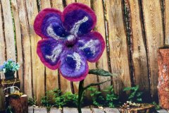 Nicht verblühende Blume, gefilzt