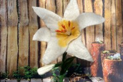 Nicht verblühende Blume, gefilzt