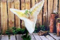Nicht verblühende Blume, gefilzt