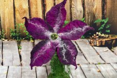 Nicht verblühende Blume, gefilzt